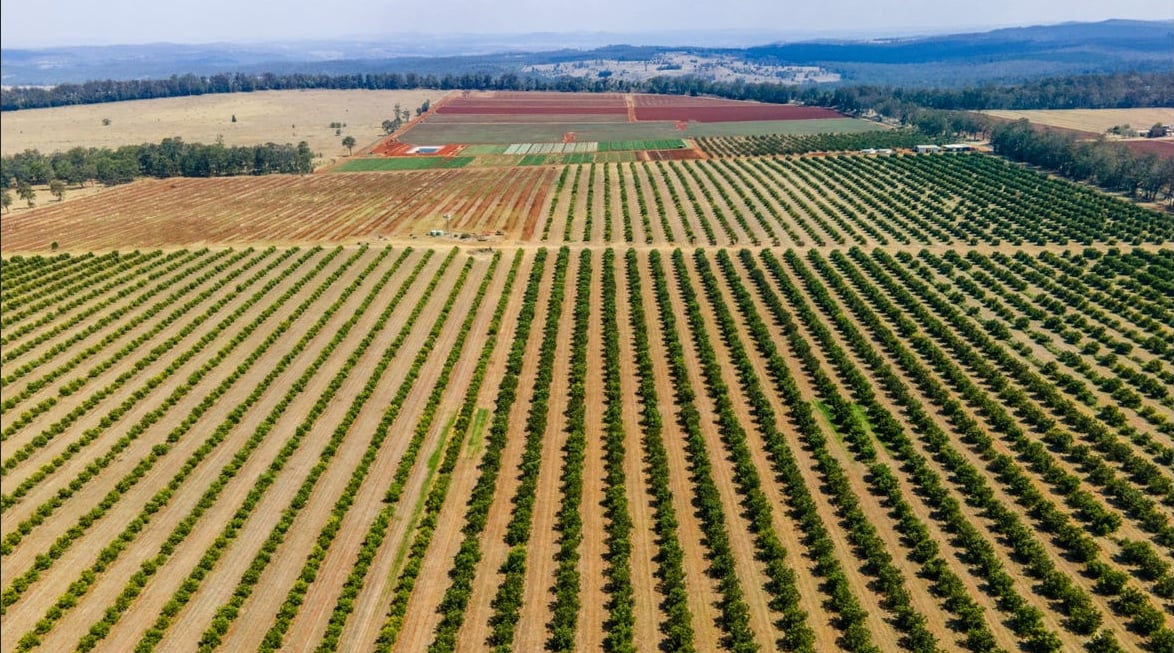 Property Roundup 40m expected for Qld orchard, carbon fund pays 32m